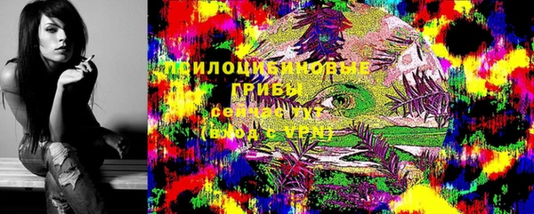 прущая мука Кодинск