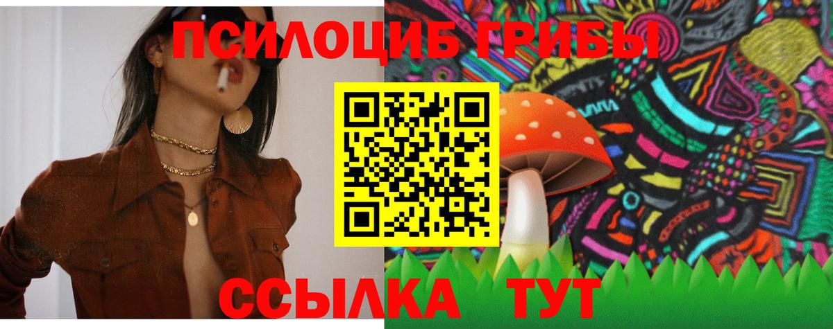 Елец  Псилоцибиновые грибы GOLDEN TEACHER  Вход с VPN 