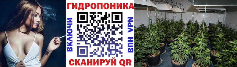 где купить наркоту  Елец  Шишки марихуана конопля 